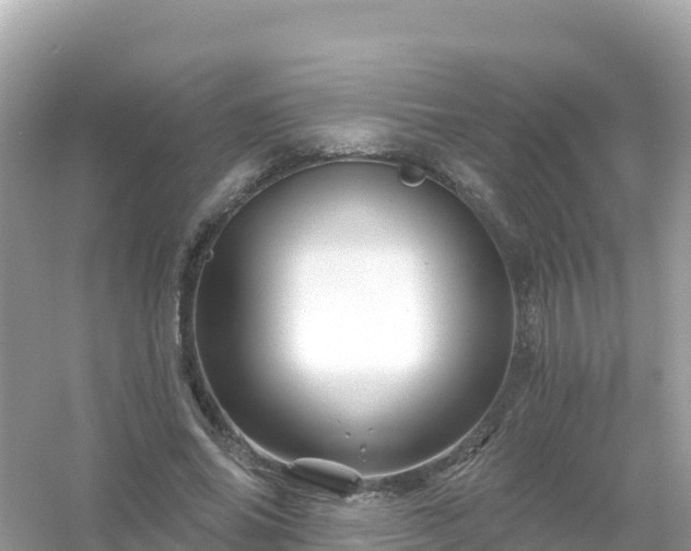 X0000054460686200508051951