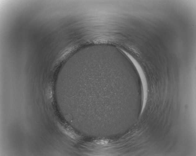 X0000054460687200508051951