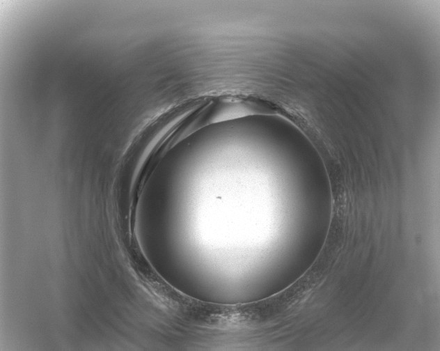 X0000054460688200508051951