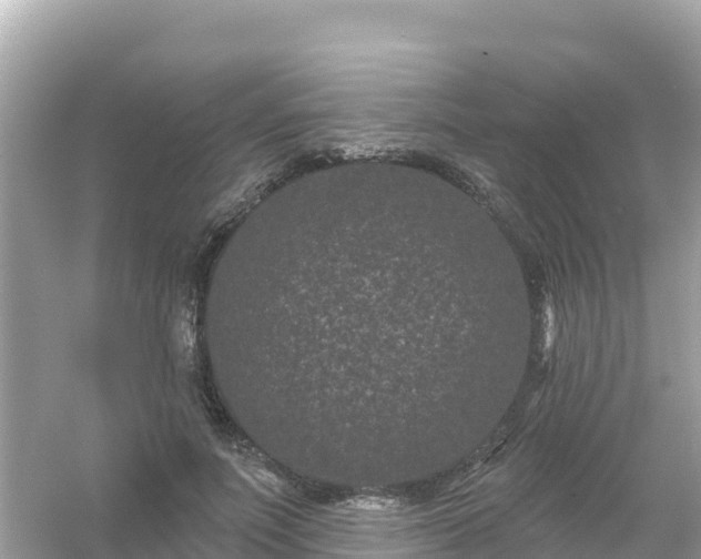 X0000054460691200508051951