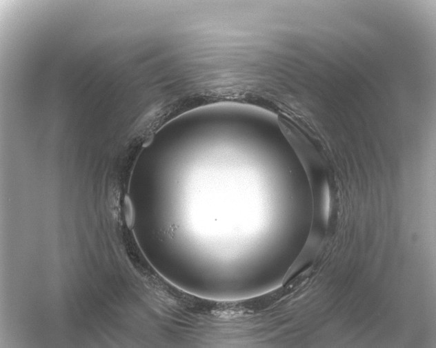 X0000054460693200508051951