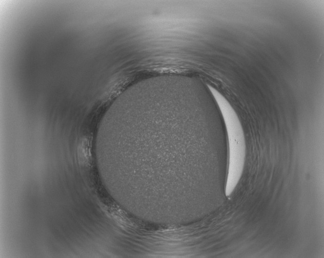 X0000054460695200508051951