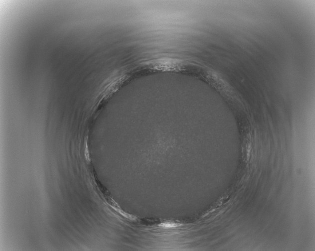 X0000054460696200508051951