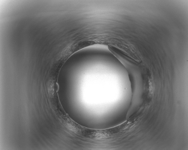 X0000054460697200508051951