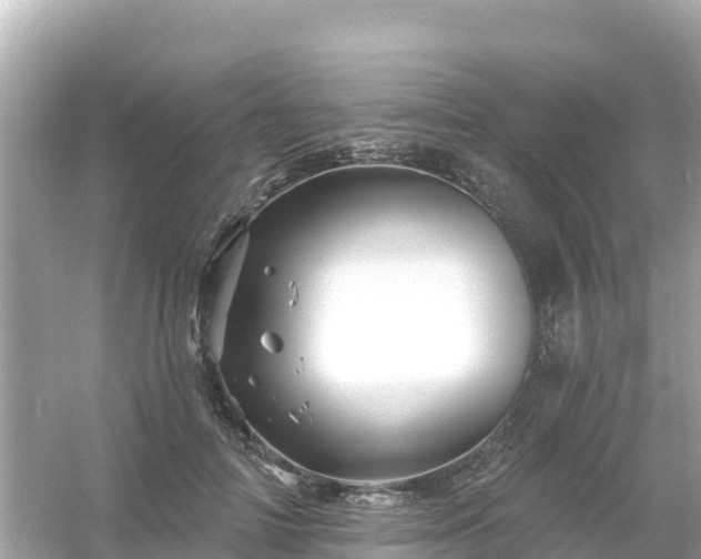 X0000054460698200508051951