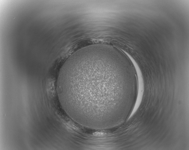 X0000054460699200508051951