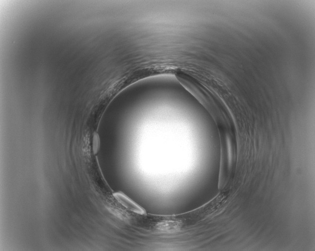 X0000054460700200508051951