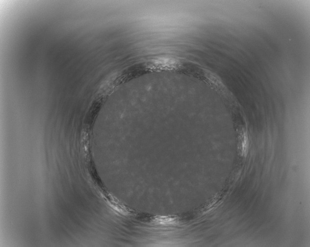 X0000054460701200508051951