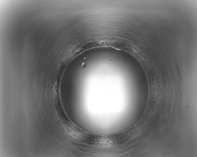 X0000054460702200508051951