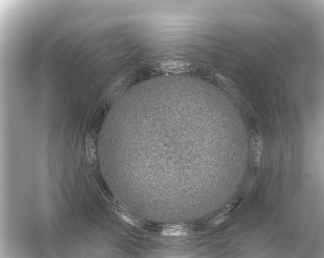 X0000054460705200508051951