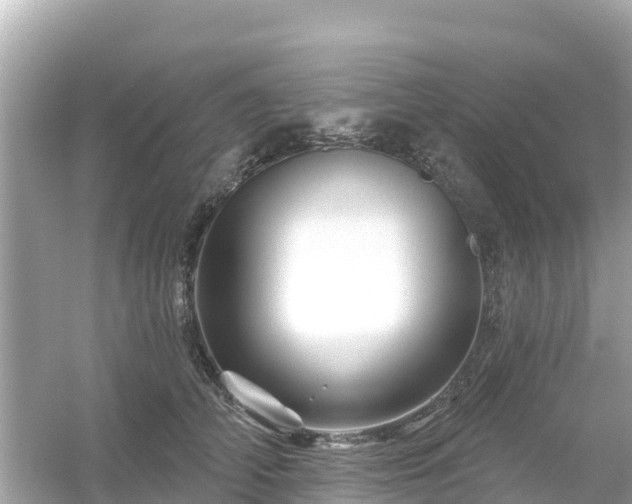 X0000054460706200508051951