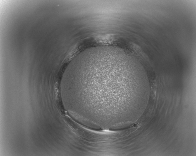 X0000054460707200508051951