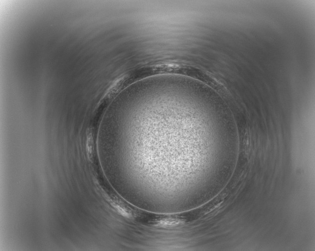 X0000054460708200508051951