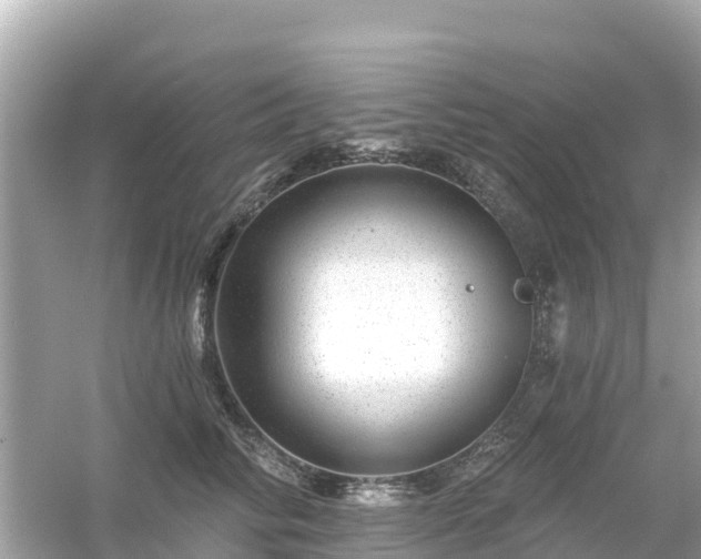 X0000054460710200508051951