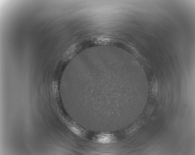 X0000054460711200508051951