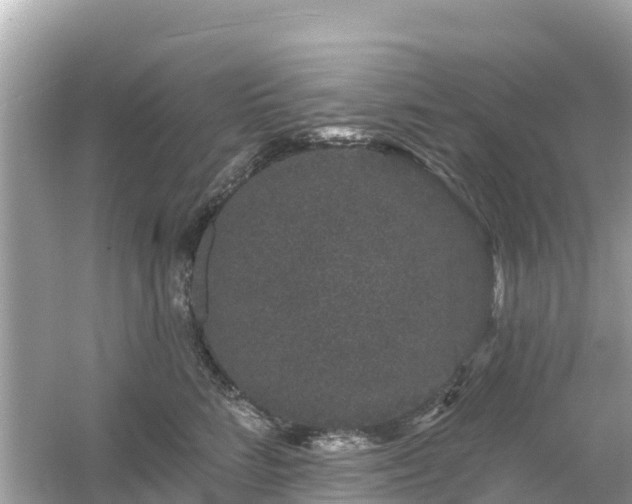 X0000054460712200508051951