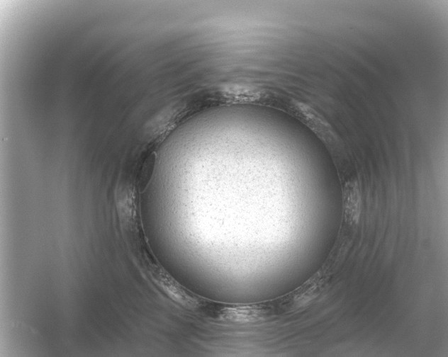 X0000054460713200508051951