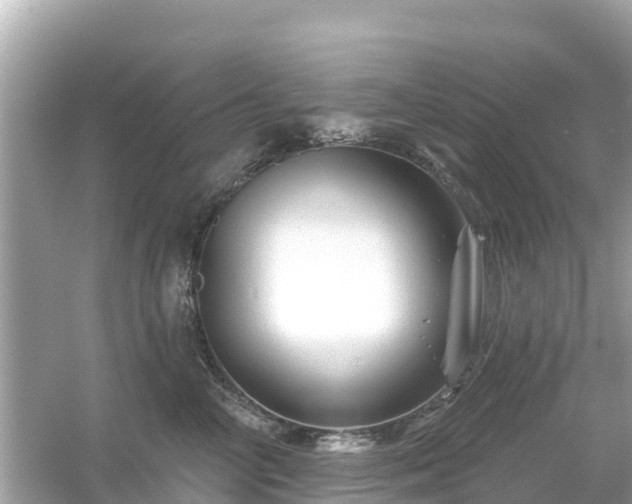 X0000054460714200508051951