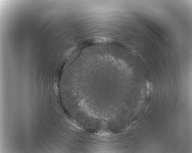 X0000054460716200508051951