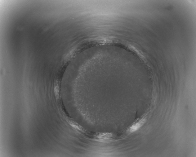 X0000054460720200508051951