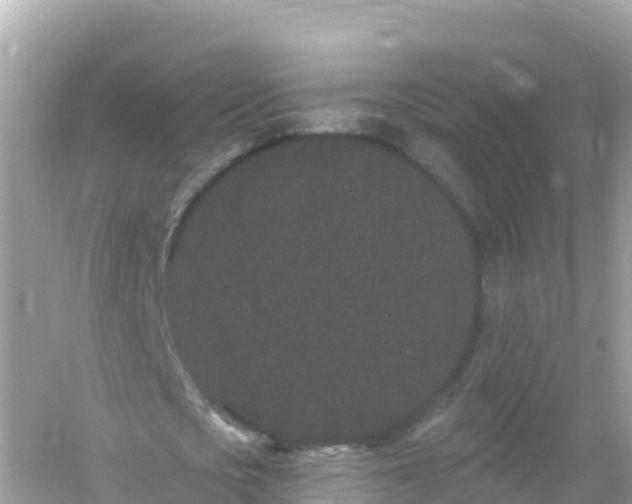 X0000054460721200508051950