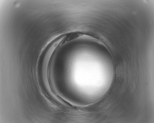 X0000054460722200508051950