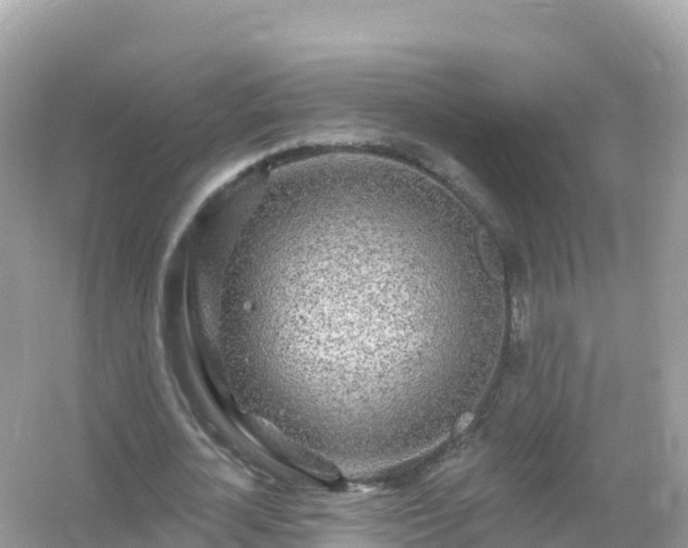 X0000054460724200508051950