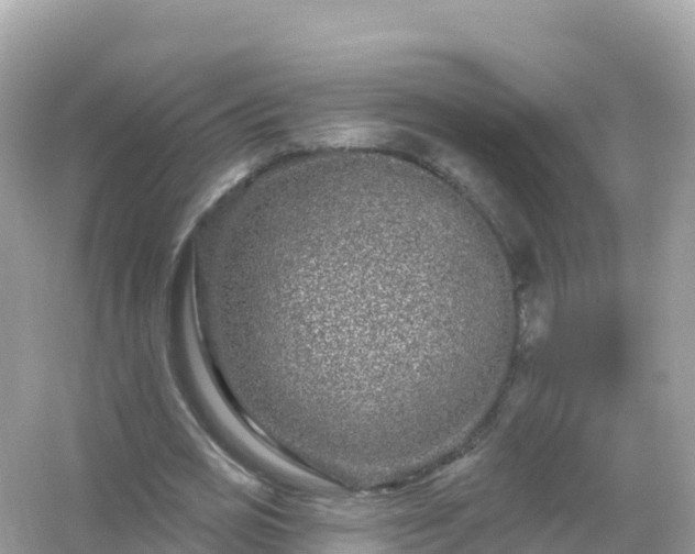 X0000054460725200508051950