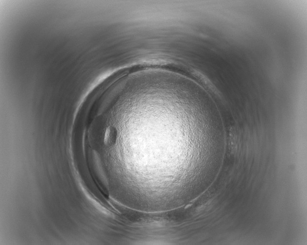 X0000054460726200508051950