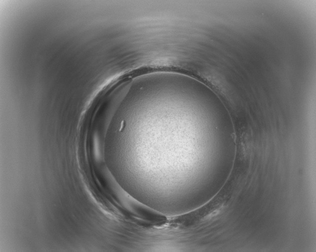 X0000054460728200508051950