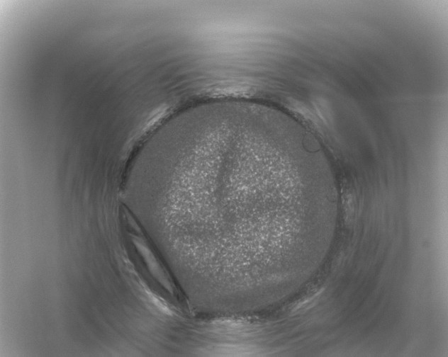 X0000054460729200508051950