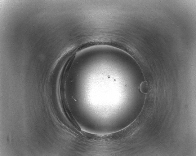 X0000054460731200508051950