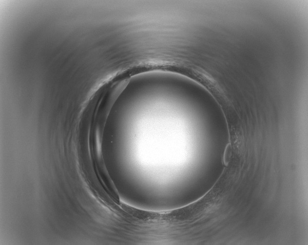 X0000054460732200508051950