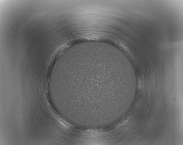 X0000054460733200508051950