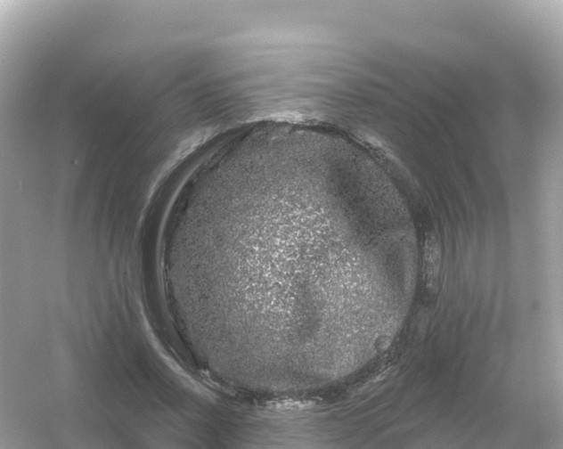 X0000054460734200508051950