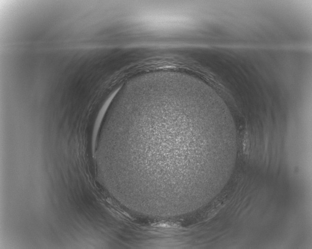 X0000054460737200508051950