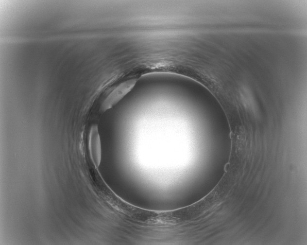 X0000054460739200508051950