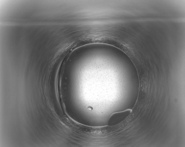 X0000054460740200508051950