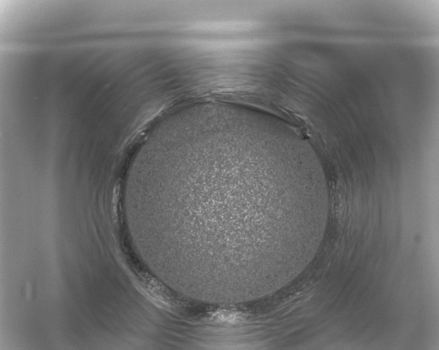 X0000054460742200508051950