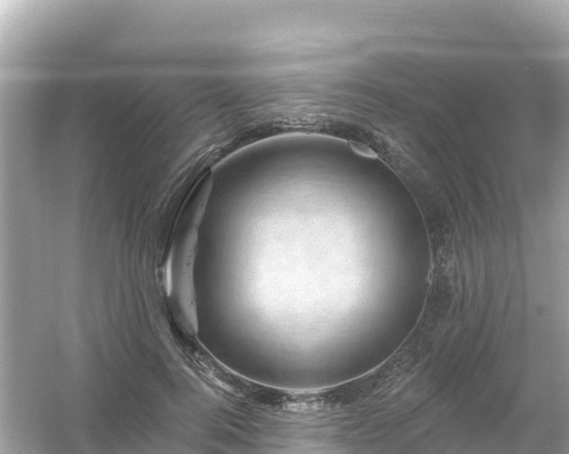 X0000054460744200508051950