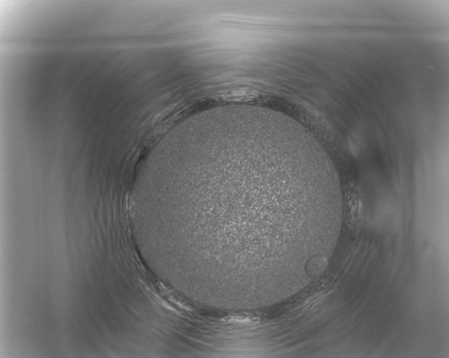 X0000054460745200508051950