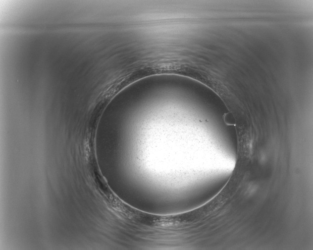 X0000054460746200508051950