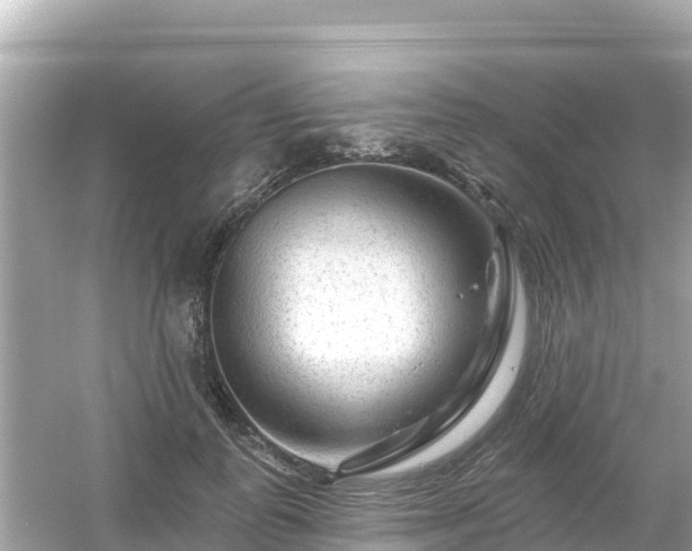 X0000054460747200508051950