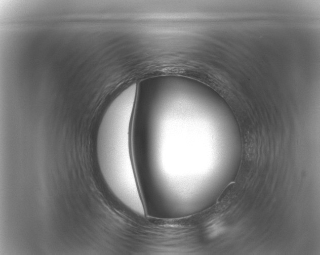 X0000054460748200508051950