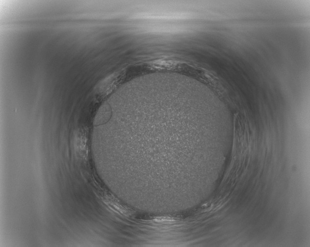 X0000054460749200508051950