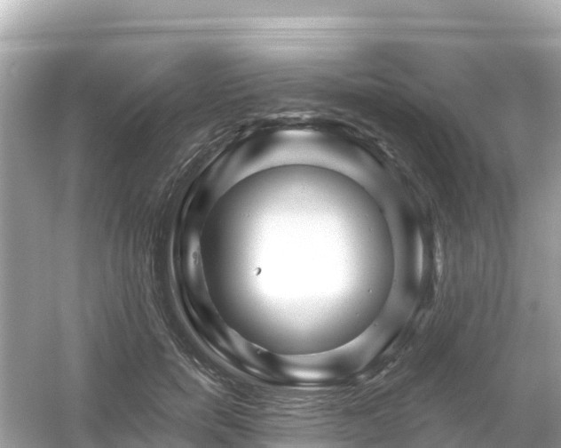 X0000054460750200508051950