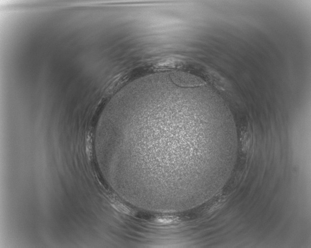 X0000054460753200508051950