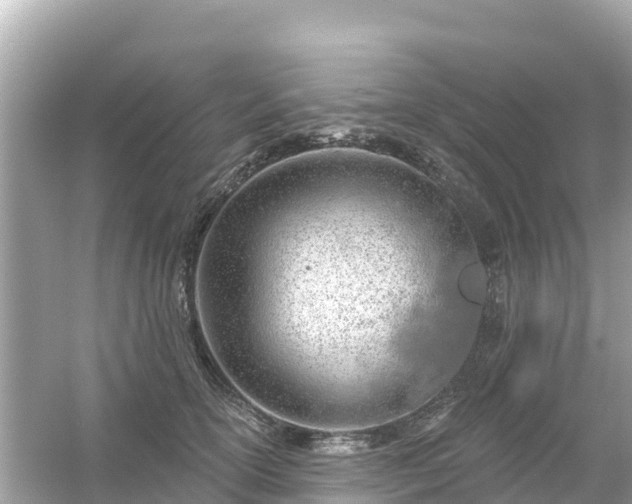 X0000054460754200508051950