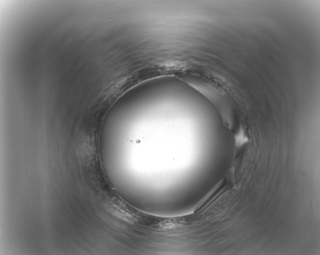 X0000054460756200508051950