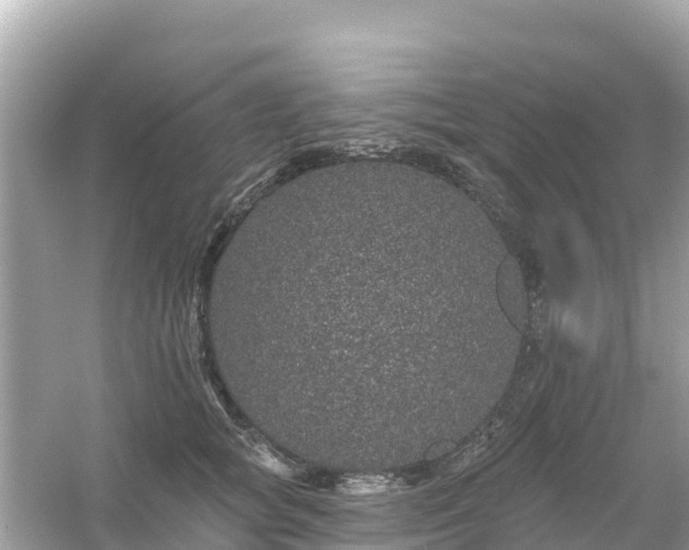 X0000054460757200508051950